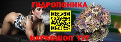 молекула духа Ливны