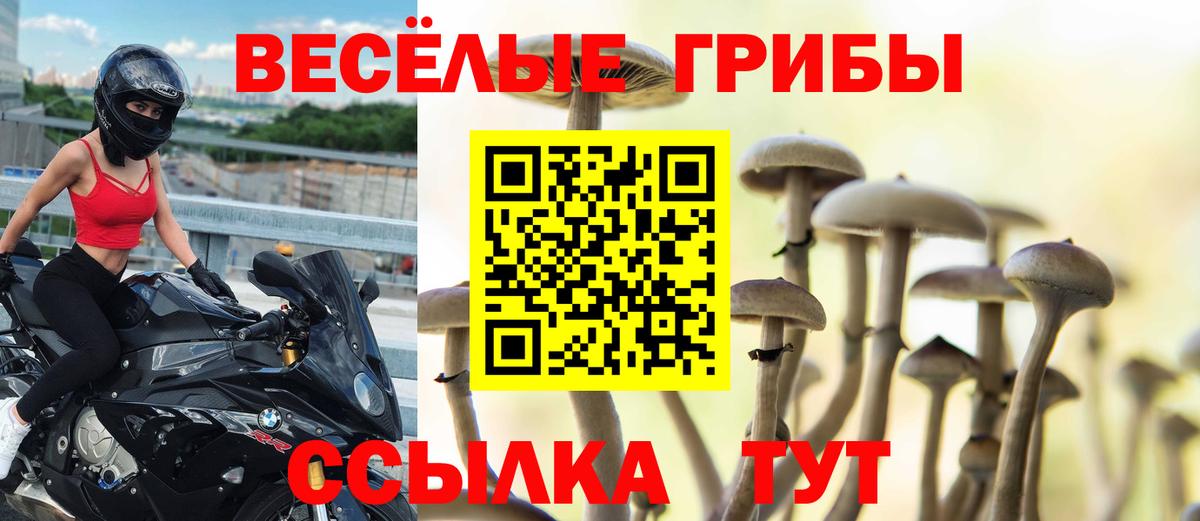 Галлюциногенные грибы GOLDEN TEACHER  Галлюциногенные грибы GOLDEN TEACHER  Шарыпово  Вход с VPN 